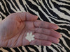 Paw Print - Silver Necklace (3/4")