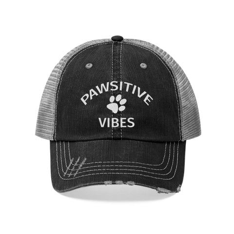 Pawsitive Vibes - Distressed Hat