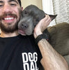 Dog Dad - Classic Tee